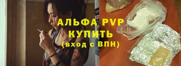 PSILOCYBIN Балахна