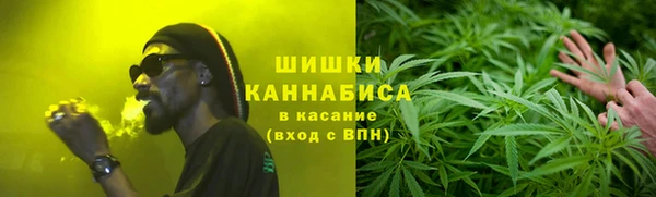 PSILOCYBIN Балахна