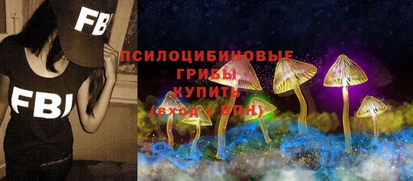 PSILOCYBIN Балахна