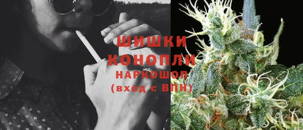 PSILOCYBIN Балахна